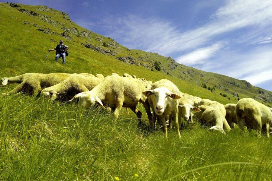 Oltre la lana c'è di più!