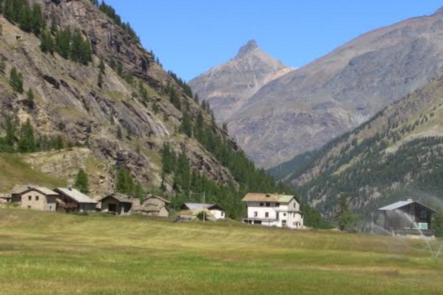 Fiha di Civet -  Festival of chamois in "civet"