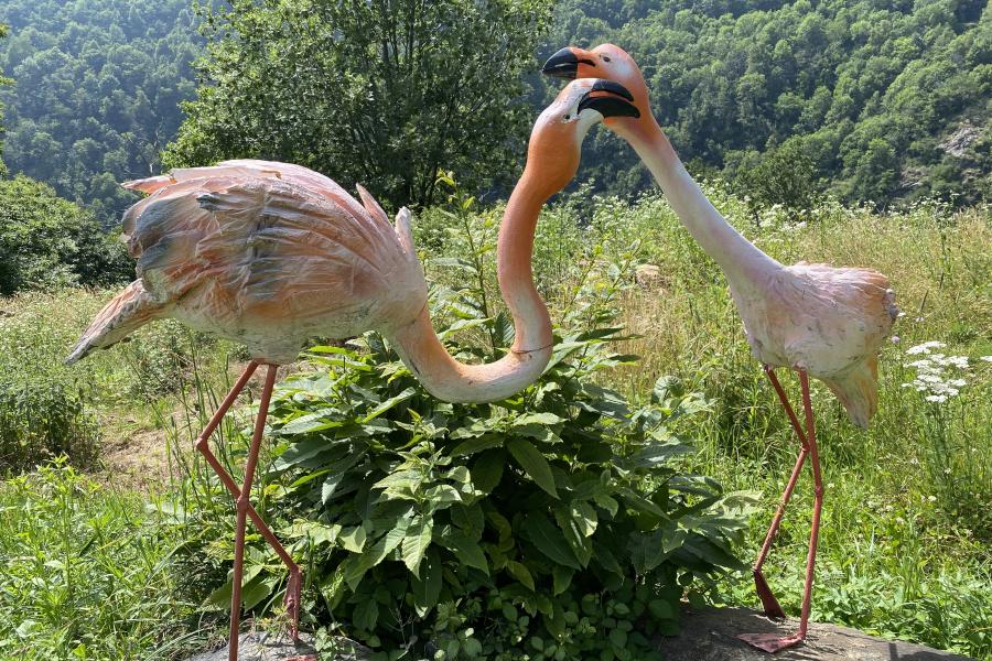 ControTorrente: Visita guidata al villaggio di Chemp