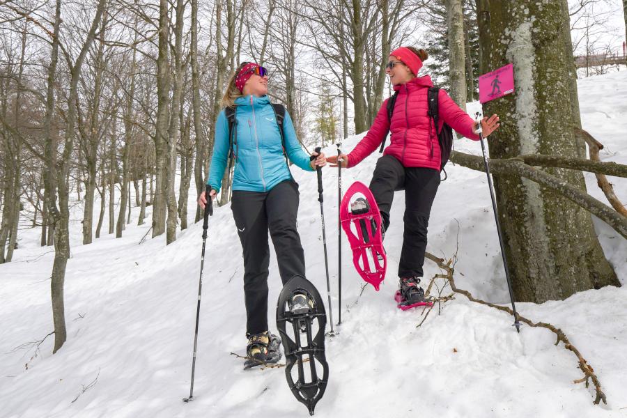 yellow route snowshoes alpe di mera