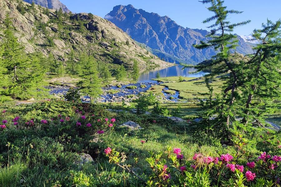 Rifugio barbustel