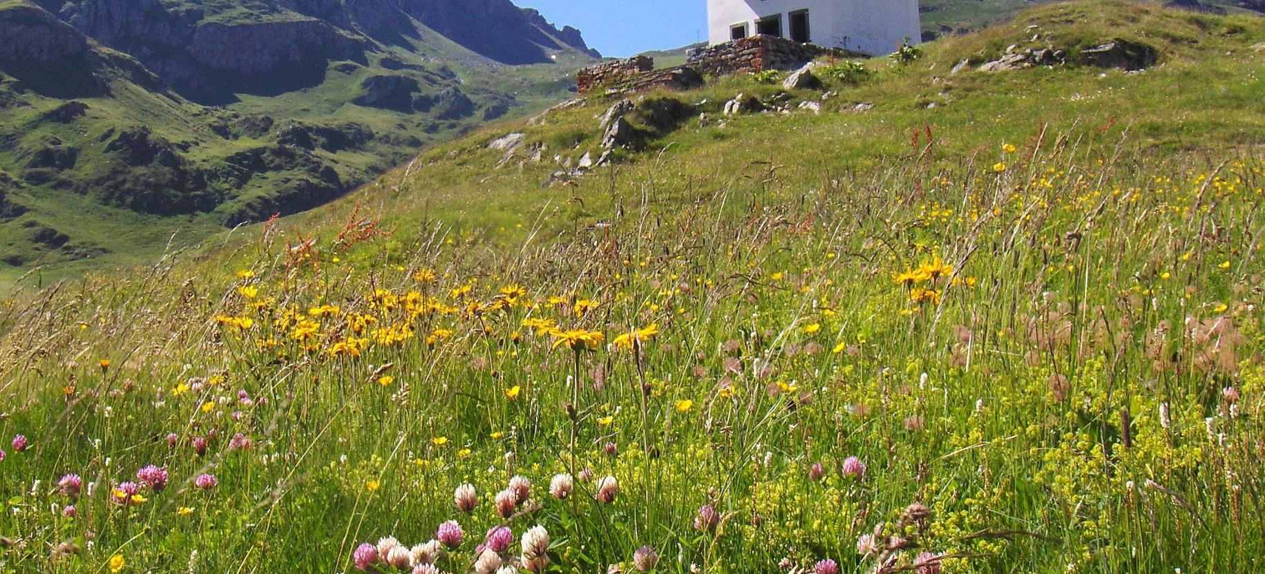 Festa di Sant'Anna all'Alpe Sitte