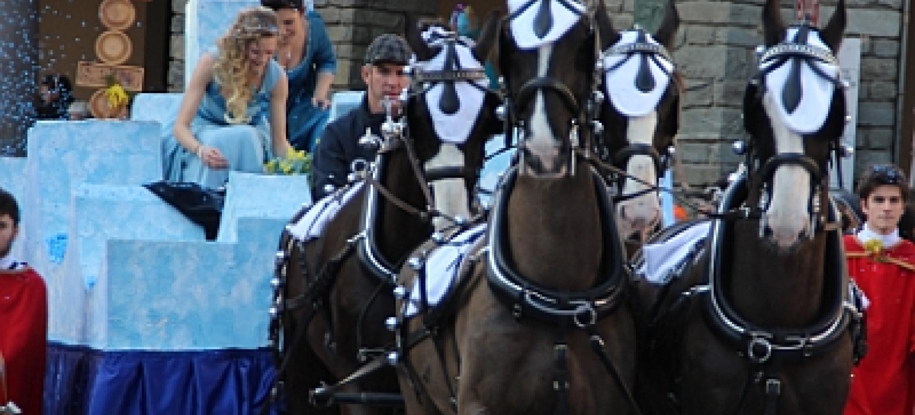 Carnevale Storico di Pont Saint Martin