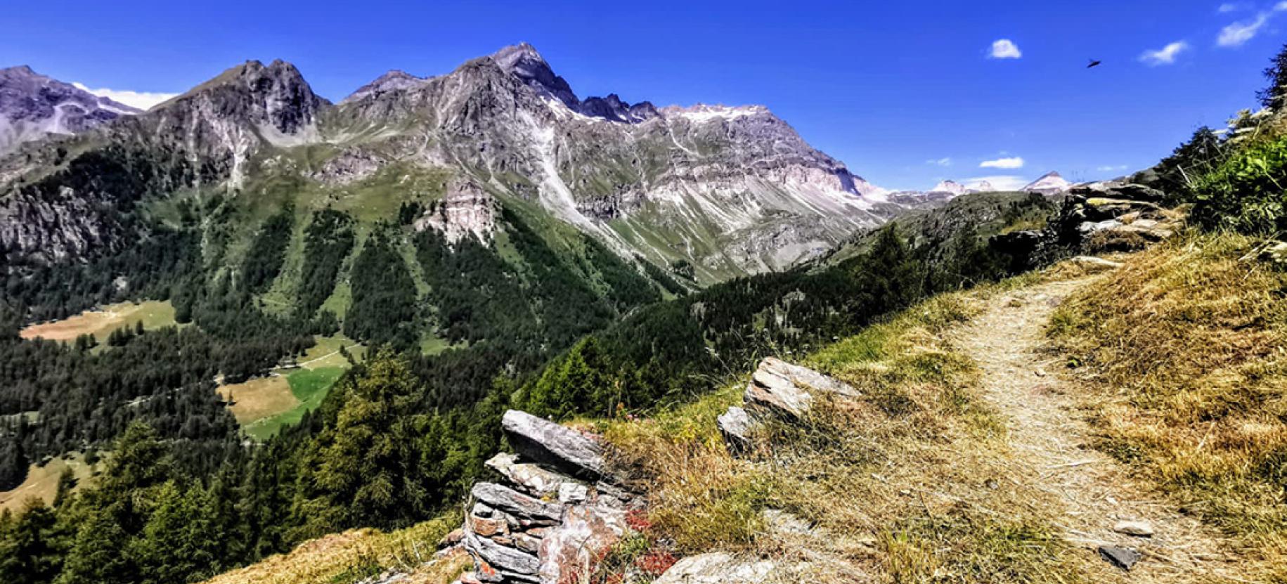 Rifugio Guide Frachey