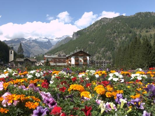 Paesaggi e fiori della Valle del Lys