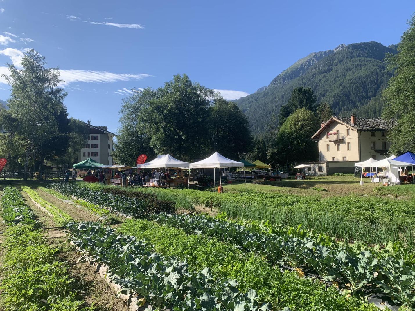 Samstag Märt - Mercato dei piccoli produttori della Valle del Lys