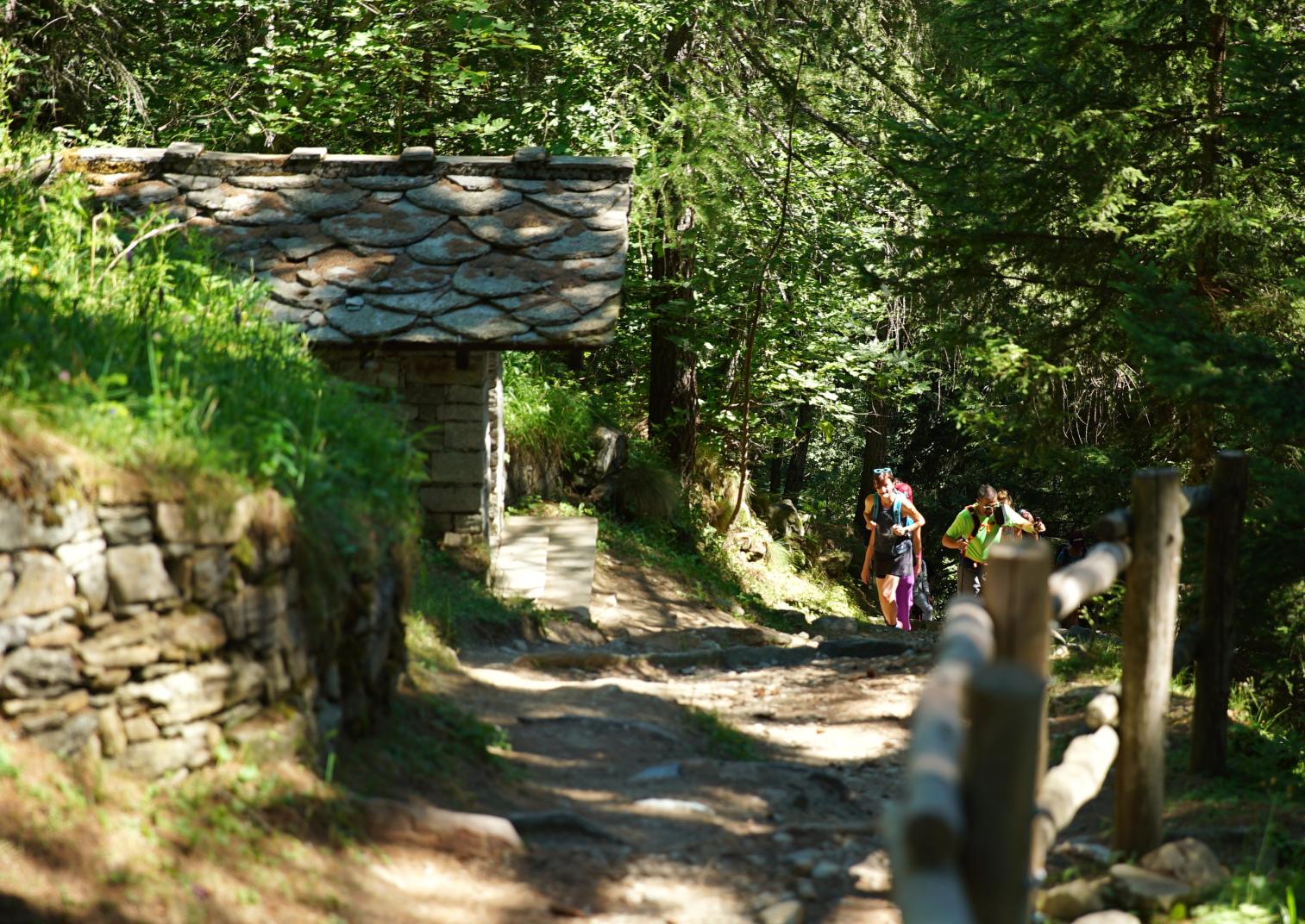 Track to Alpenzu