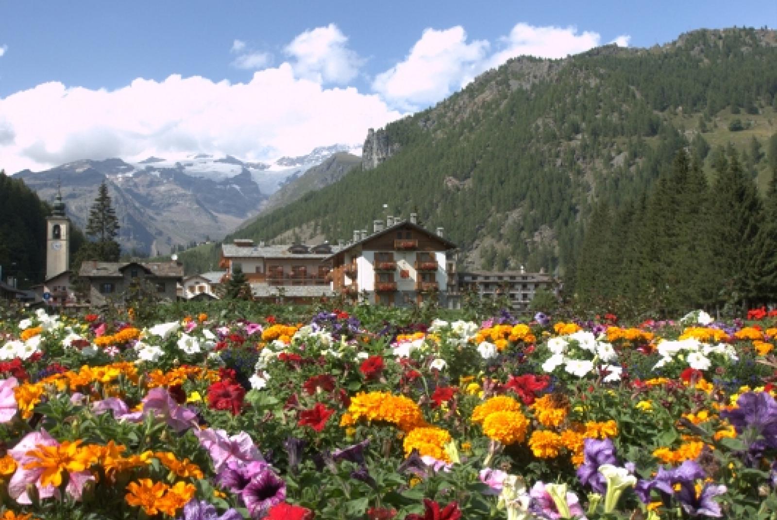 Paesaggi e fiori della Valle del Lys