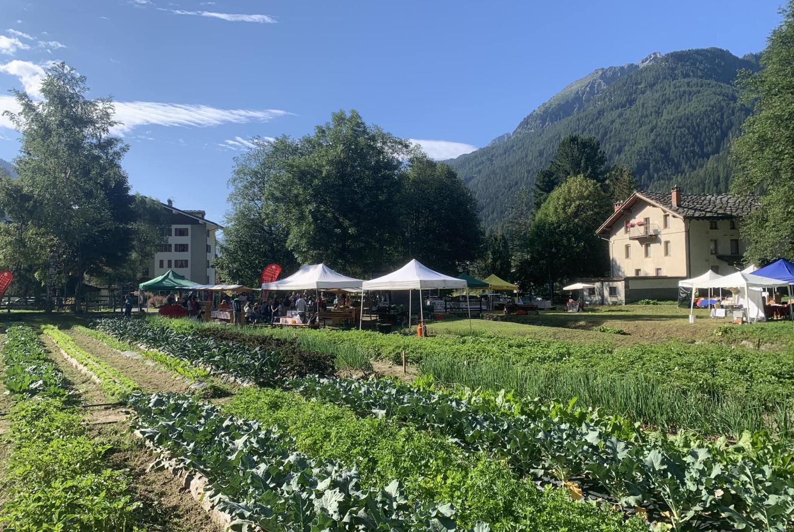 Samstag Märt - Local market of the Lys Valley typical products