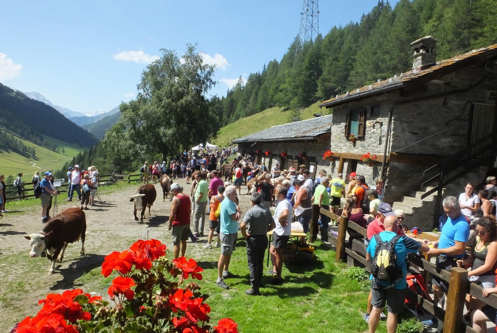 Alpages Ouverts - Una giornata in alpeggio